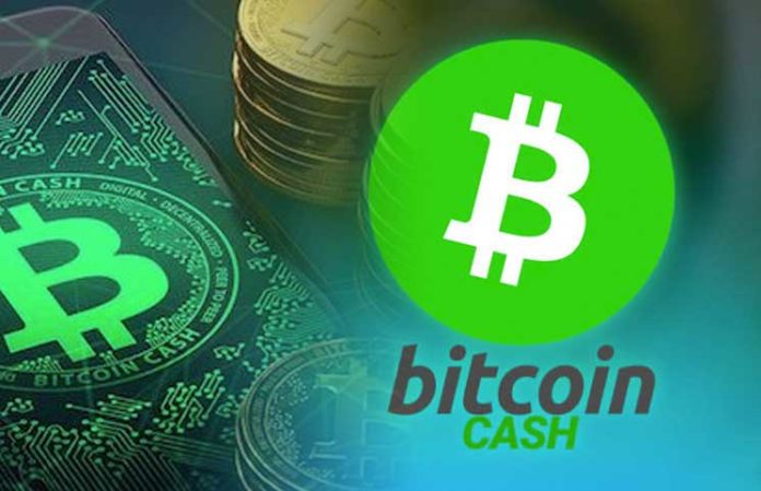 Best Bitcoin Cash Gambling Sites