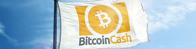No Deposit Bonus Bitcoin Cash Casinos