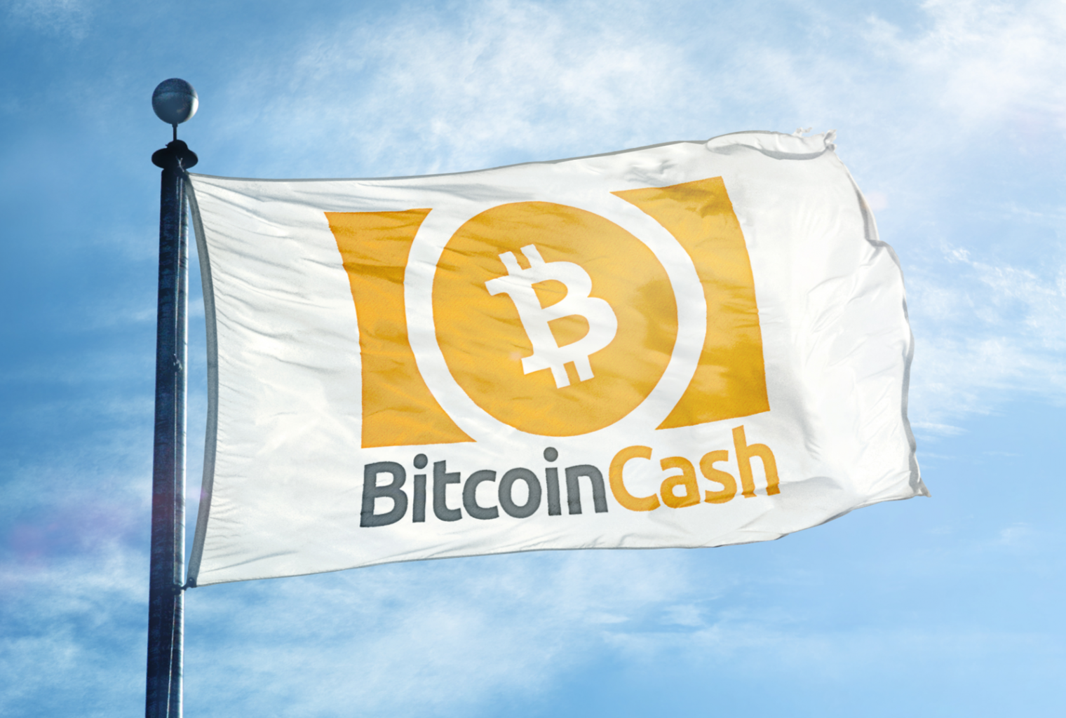 Flag with Bitcoin Cash logo on it